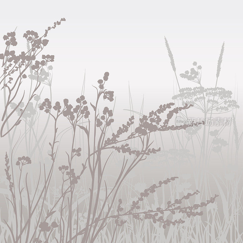 壁纸描绘了黎明雾中的野草，带着田野的浪漫情调