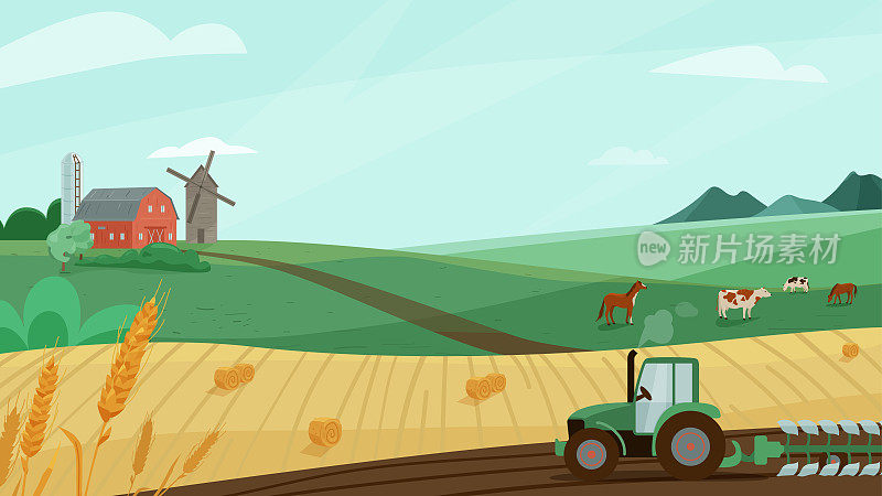 农场景观矢量插图与绿色草地，麦田，拖拉机栽培土地。大自然夏秋风光配谷仓、风车。农村为有机生产的背景