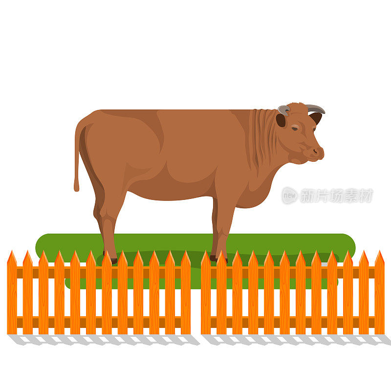 矢量插图的牛站在木栅栏。