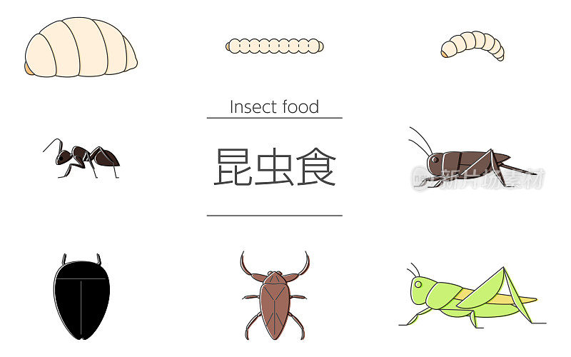一组可以被昆虫食物吃掉的昆虫——翻译过来就是:昆虫食物