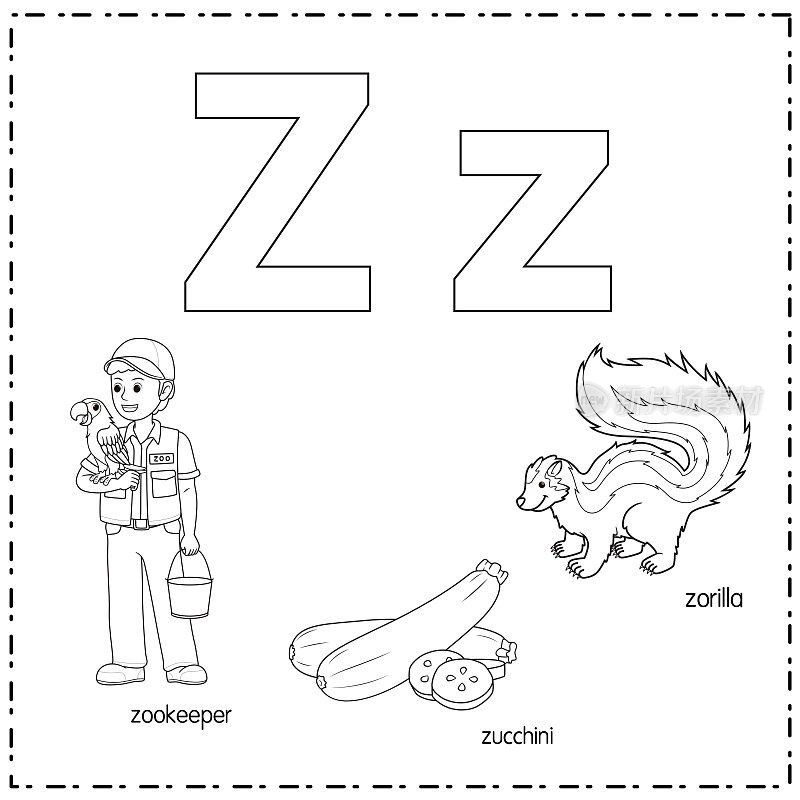 向量插图学习字母Z的小写和大写的儿童与3卡通图像。动物园管理员西葫芦Zorilla。