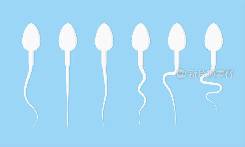 各种精子插图。男性生殖细胞，射精。
