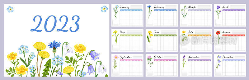 2023年每月每日每周计划模板。A4横页有花卉图案，野花。组织者，时间表，并留有记录的地方;目标，要做清单。