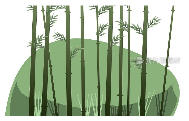 竹子灌木。热带芦苇床。南部地区的丛林和雨林。卡通趣味风格。平面设计。孤立的白色背景。向量