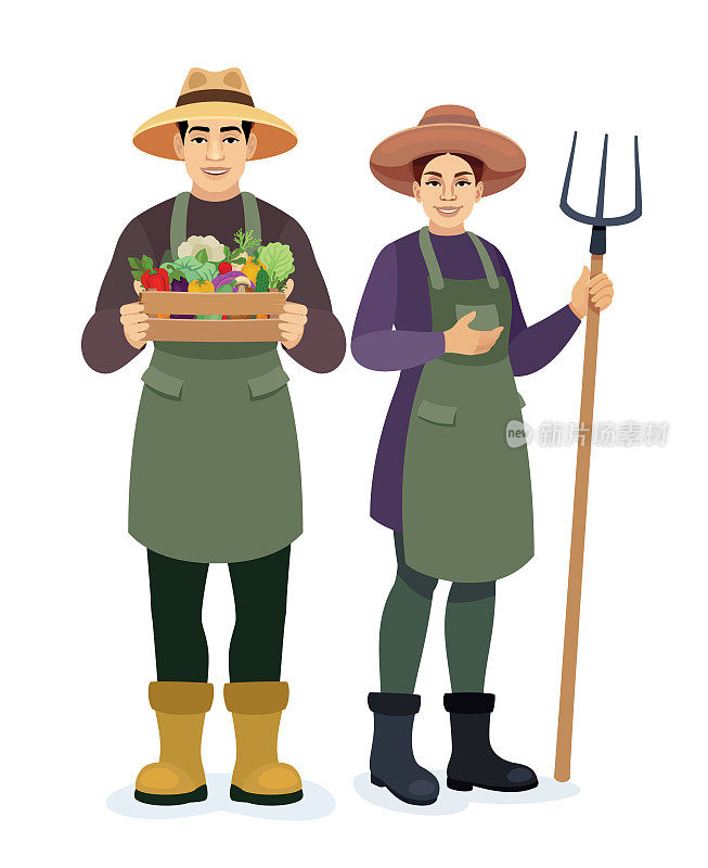 两个园丁。男人拿着一个装着新鲜蔬菜的木箱。