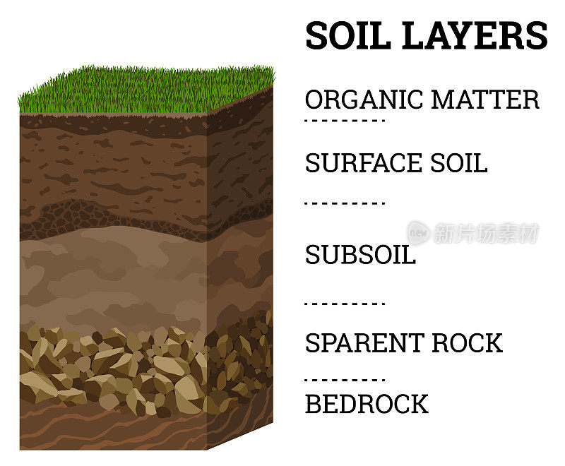 土壤层次。地表层是由有机物、矿物和石头混合而成的地球结构的上层。绿草下的泥土和地下粘土层