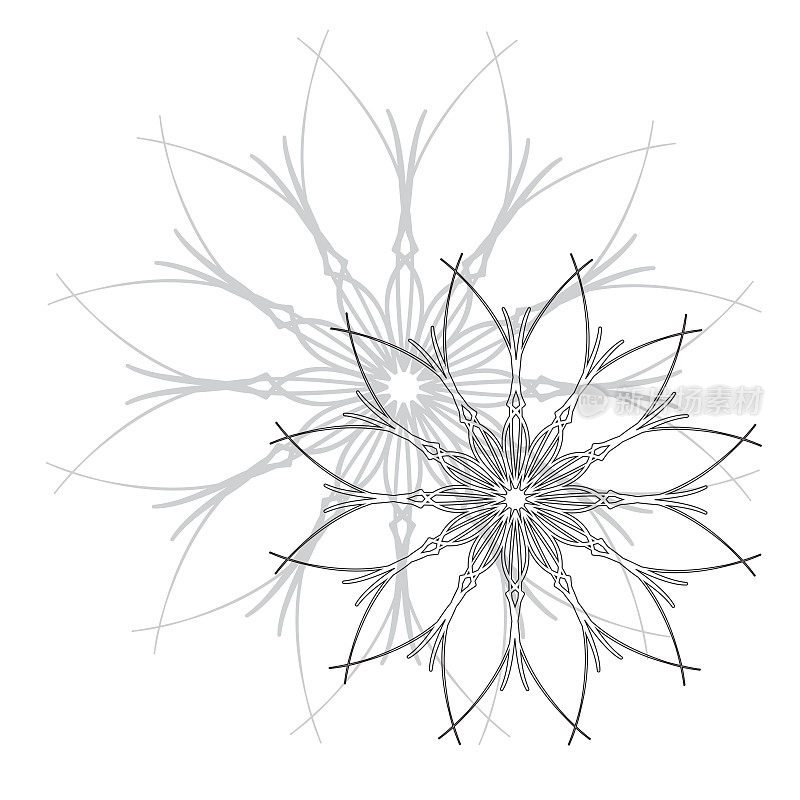 抽象的花朵。设计元素。矢量图