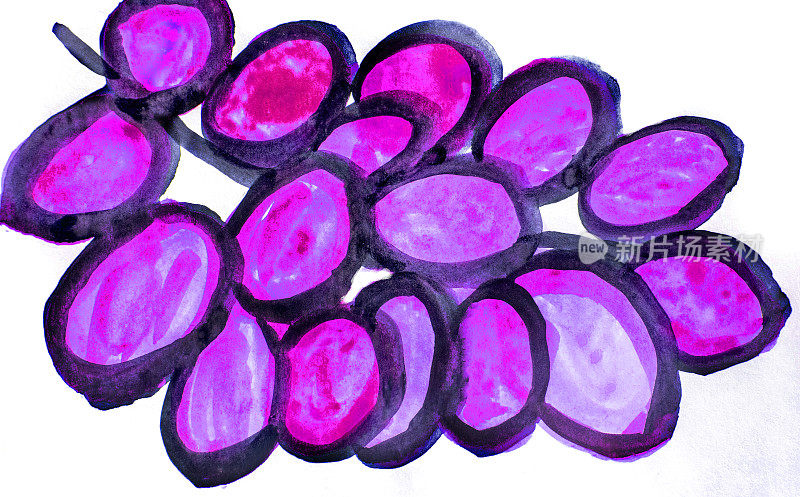 水彩程式化的形象一串紫色的葡萄，孤立在白色的背景，可爱的手绘