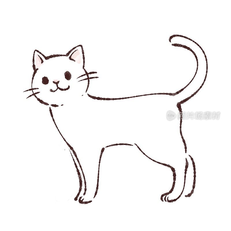 简单的手绘猫插图材料