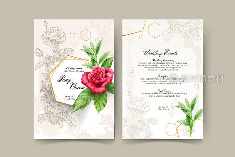 一套卡片与花玫瑰，树叶。婚礼饰品概念。花海报，邀请。矢量装饰贺卡或邀请设计背景