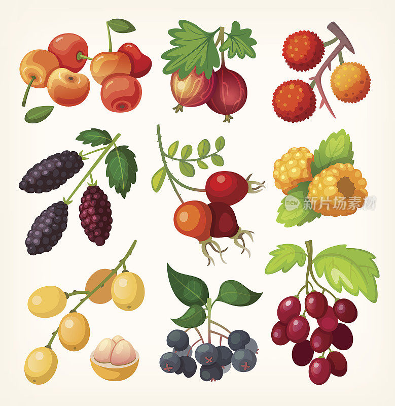 多汁的彩色浆果图标。