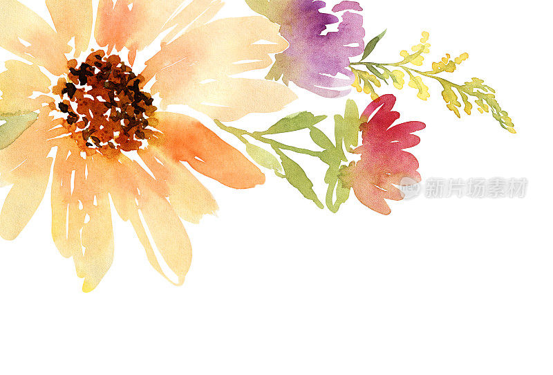 明信片水彩向日葵。的婚礼。花的背景。