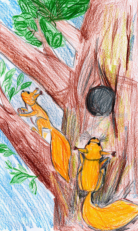 树上的松鼠。孩子画画