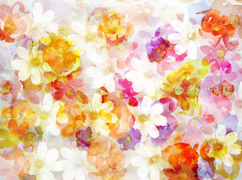 美丽亮丽的夏日花卉构图，水彩画