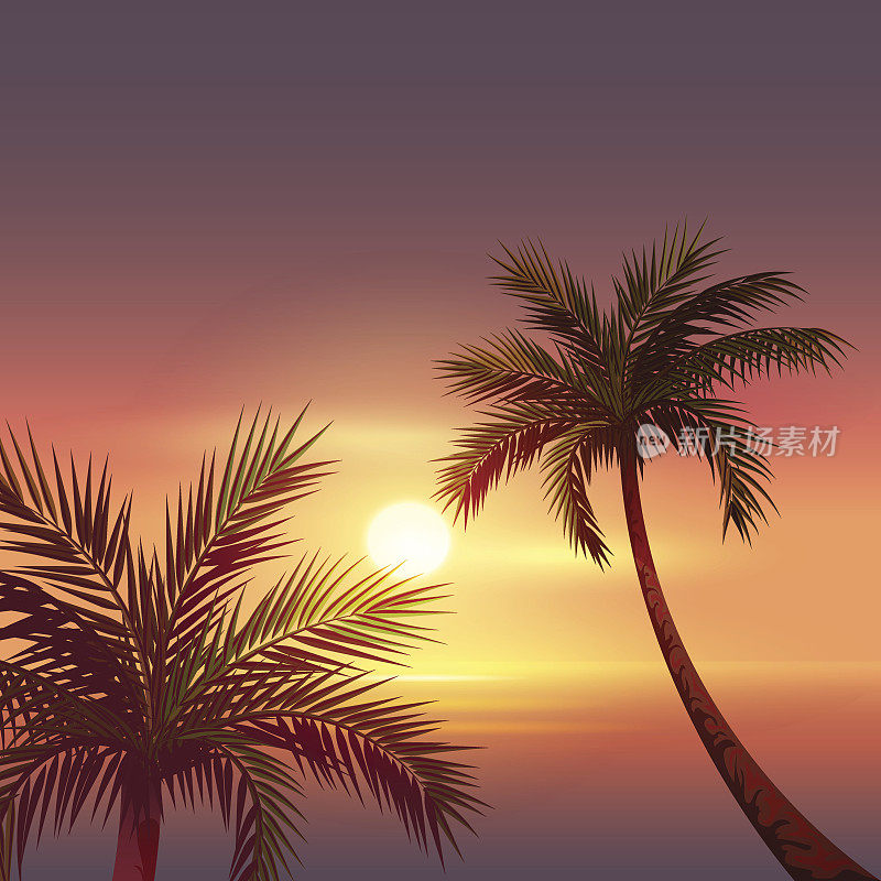 热带岛屿上的日落。红色天空中棕榈树的黑色剪影