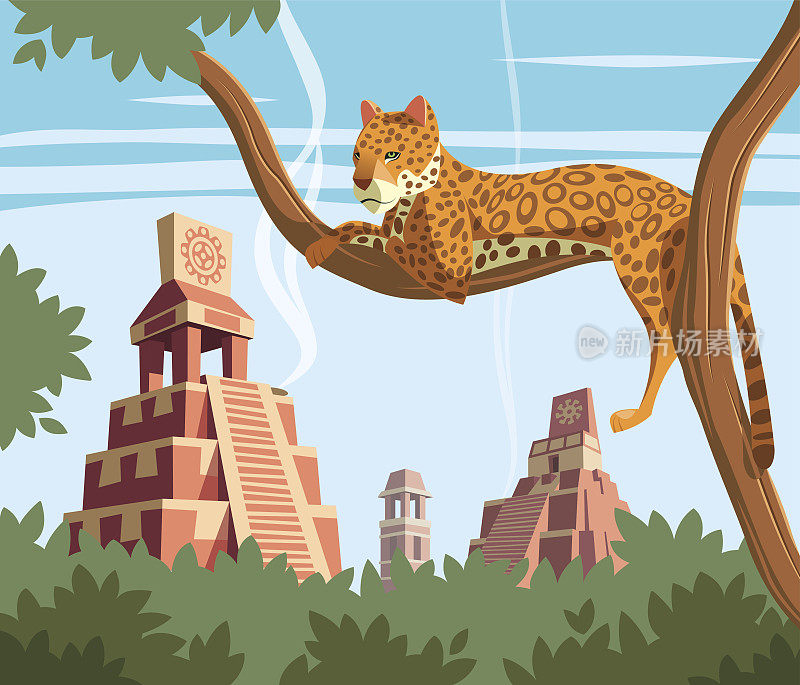 树上的美洲虎和古老的玛雅金字塔作为背景