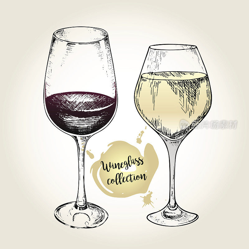 葡萄酒杯集合的向量集。刻复古风格。白葡萄酒和红葡萄酒的标准杯。