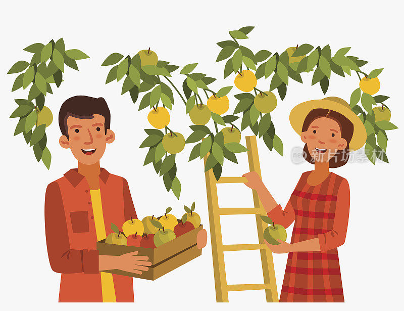 年轻的女子和男子在花园里摘苹果