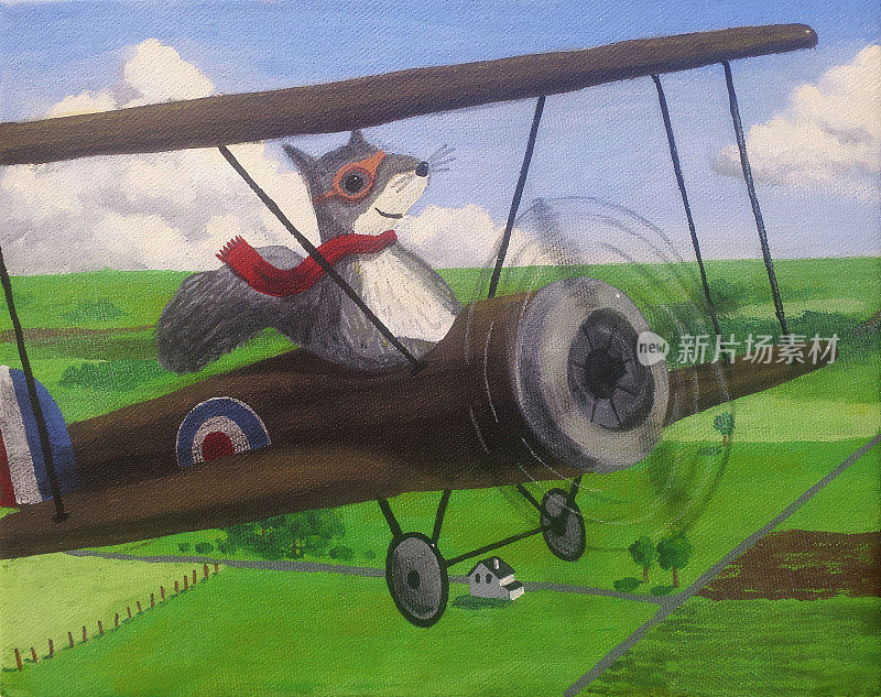 灰松鼠在驾驶双翼飞机。