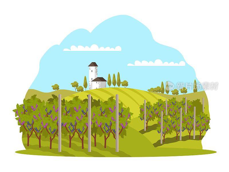 葡萄园在酒庄景观背景。葡萄酒生产在农场矢量插图。用树木种植葡萄以获得丰收。有教堂和草地的乡村景色