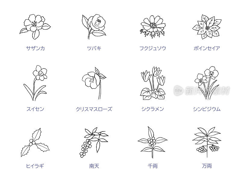 冬季花卉线条艺术图标集