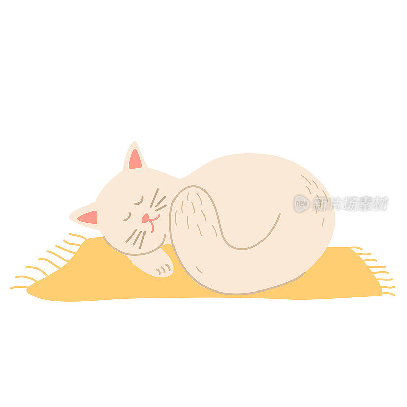 猫睡在垫子上。可爱的手画睡觉的猫。宠物。安逸和舒适。手绘矢量插图。