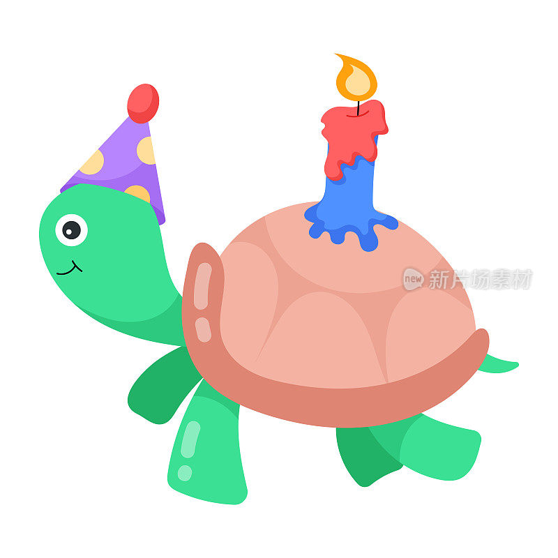 生日龟