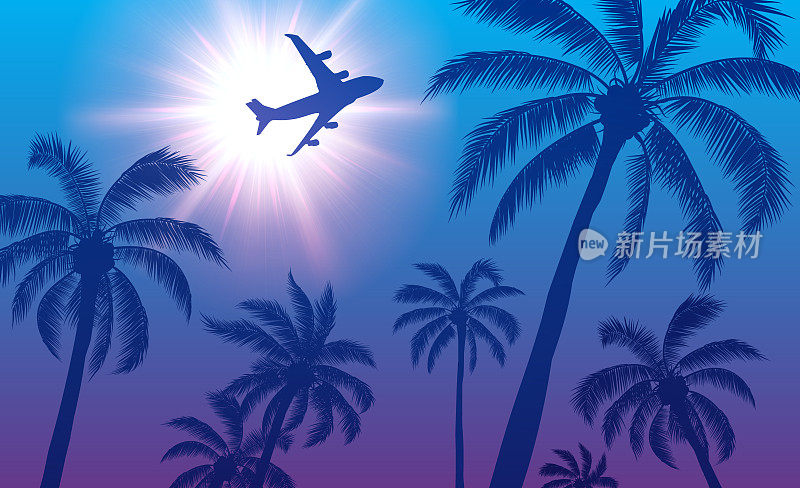 棕榈树上空的客机和天空中的太阳