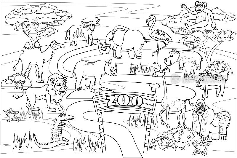 动物园丛林，野生动物涂色书教育插图的孩子。集可爱的狮子，鳄鱼，犀牛，猴子，大象，骆驼，犀牛，大猩猩，河马。矢量白色的黑色卡通轮廓插图