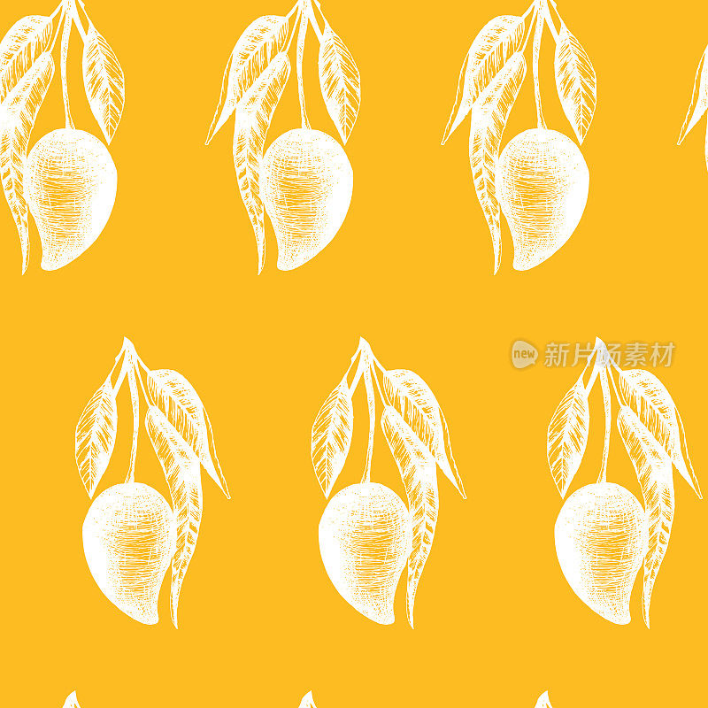 矢量无缝模式与芒果水果在温暖的黄色背景。孵化手绘泰国芒果。用于纺织品设计、厨房、桌布、包装和墙纸