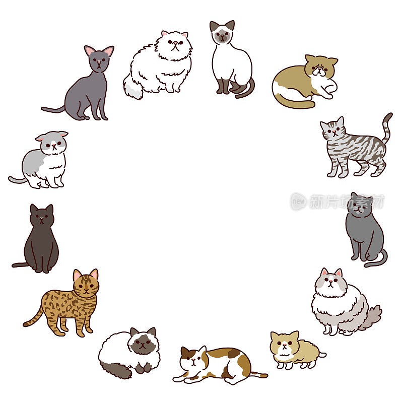 各种可爱猫咪的圆形画框