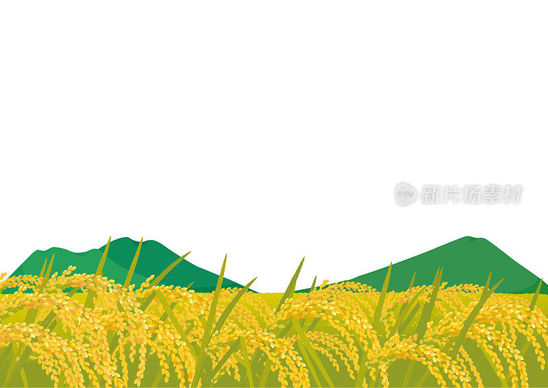 矢量插图的水稻耕作景观。农村景观图