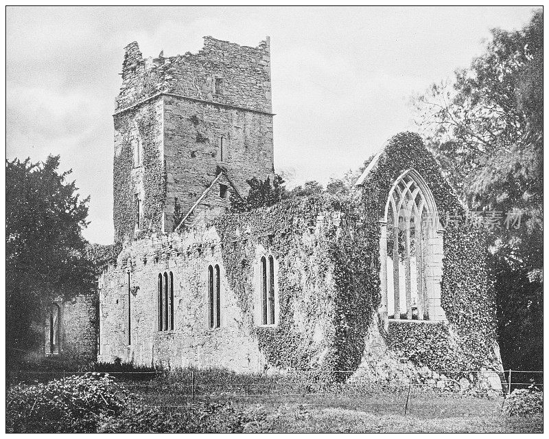 爱尔兰古董照片:Muckross修道院，基拉尼