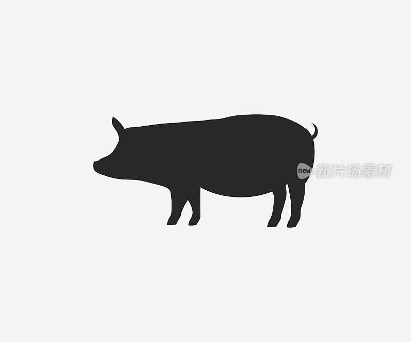 向量猪剪影。猪剪影图标孤立矢量设计和插图。