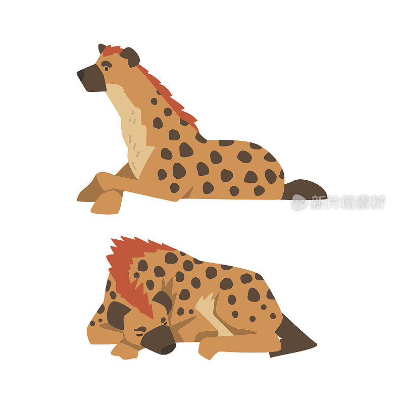 鬣狗作为食肉哺乳动物与斑点被毛和圆耳朵睡觉和坐向量集