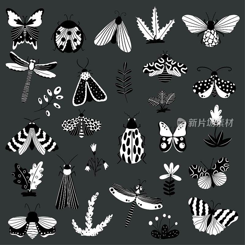 蝴蝶、昆虫和花朵，各种元素的手绘集合，白色背景上孤立的元素
