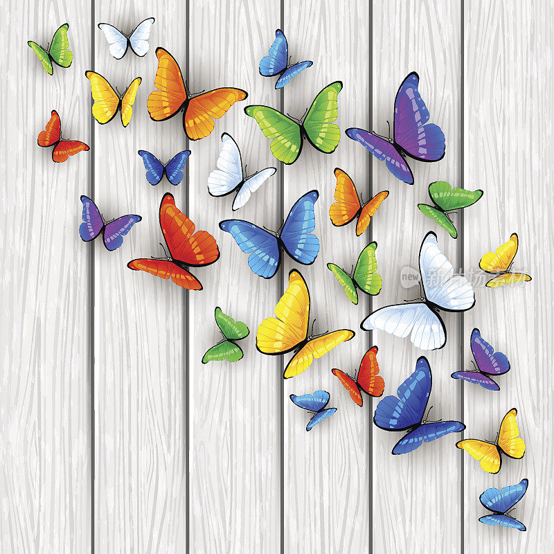 白色的木质背景与彩色的蝴蝶
