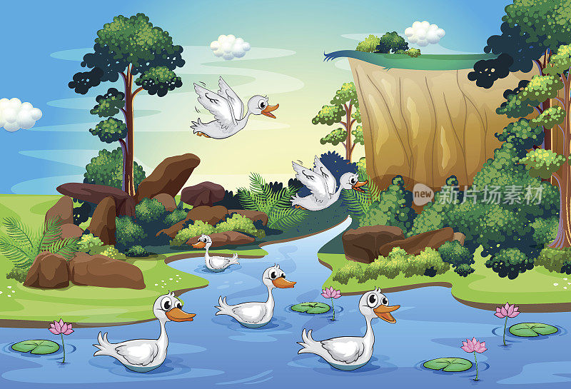 一群鸭子在森林的河边