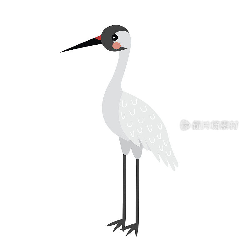 站立鹤鸟动物卡通人物矢量插图。