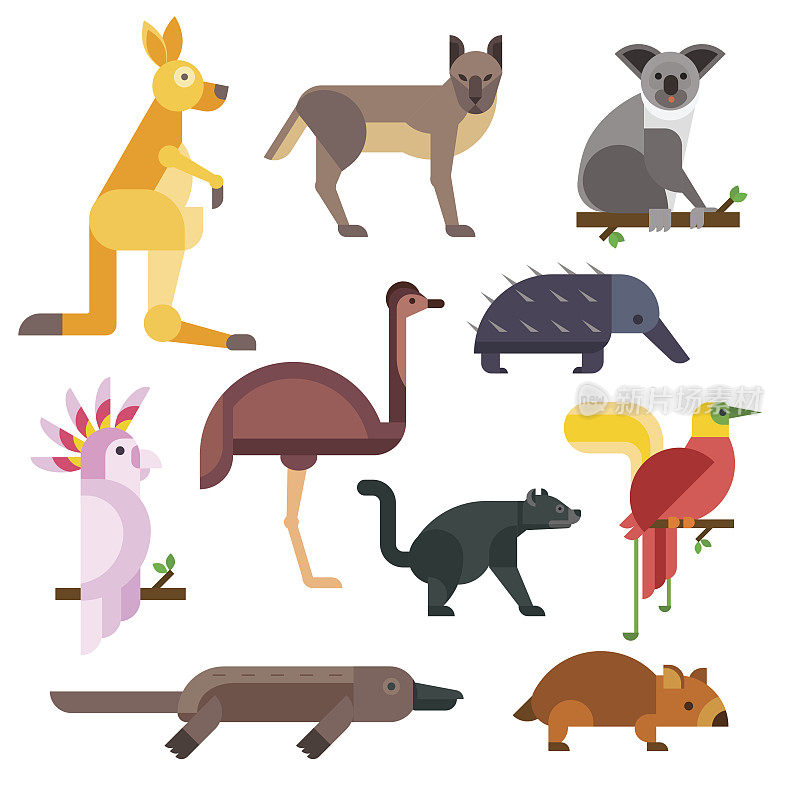 澳大利亚野生动物卡通向量收集