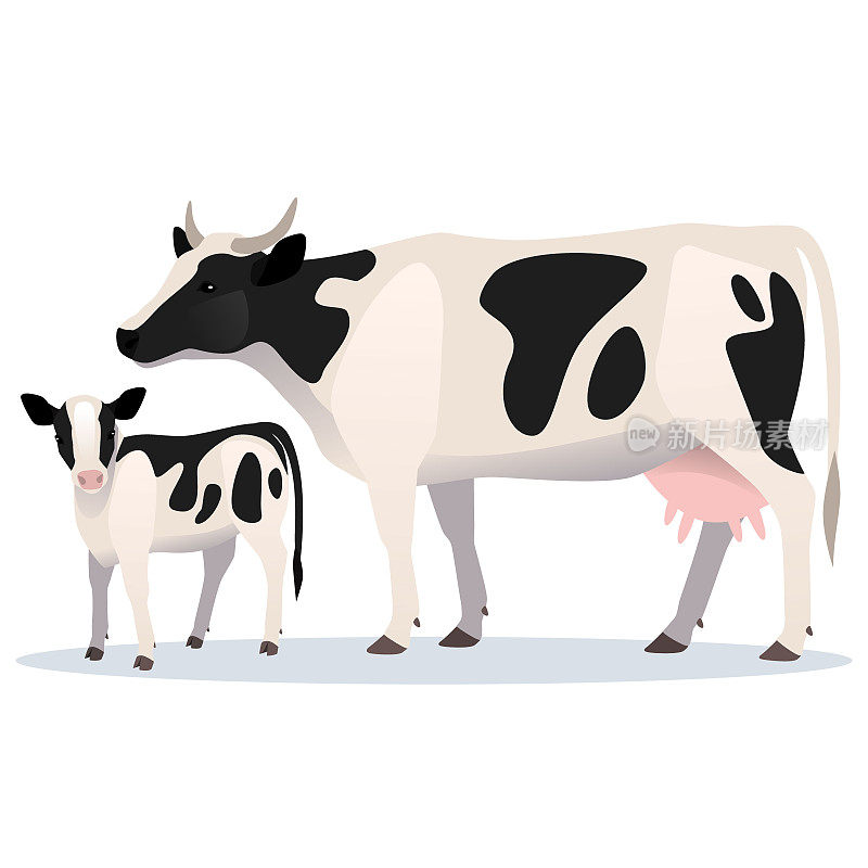 母牛和小牛。矢量插图的成年牛和她的婴儿