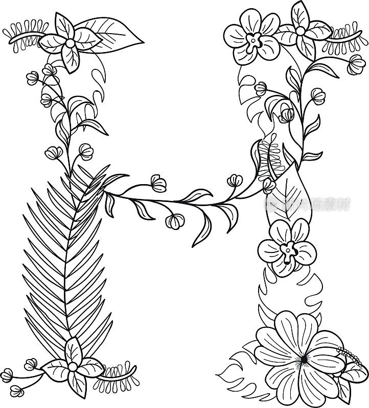 热带花卉。字母H