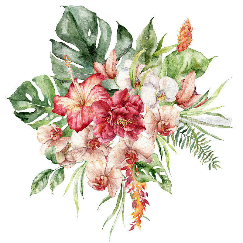 水彩花热带花束木槿，兰花，etlingera和怪物。手绘花卉海报孤立的白色背景。假日插图的设计，印刷，织物或背景。