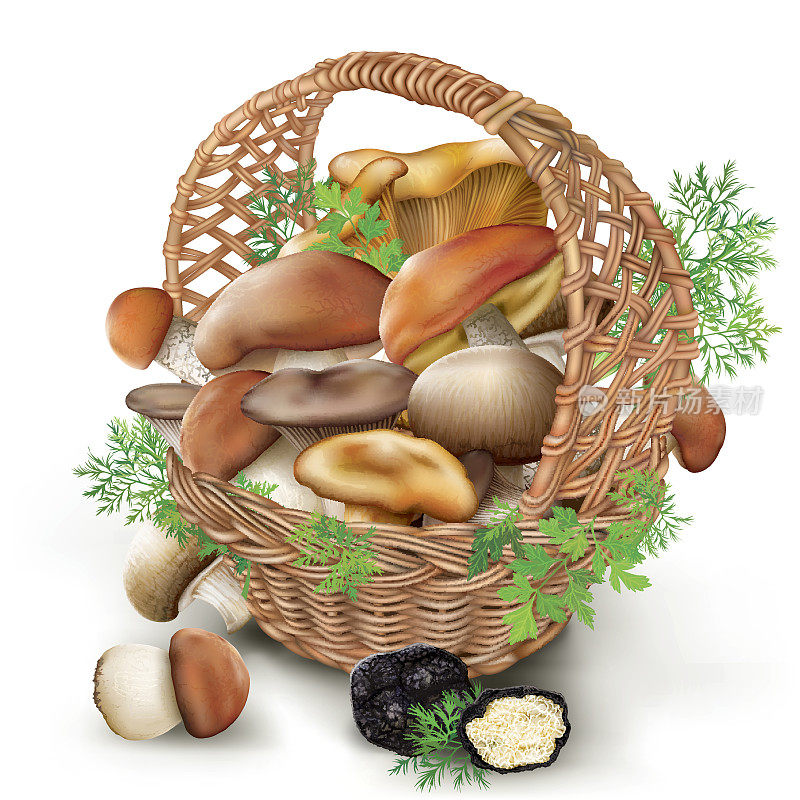 柳条篮子里的蘑菇