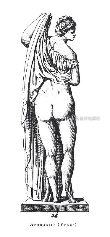 阿佛洛狄特(维纳斯)，阿佛洛狄特和其他诸神雕刻古董插图，1851年出版