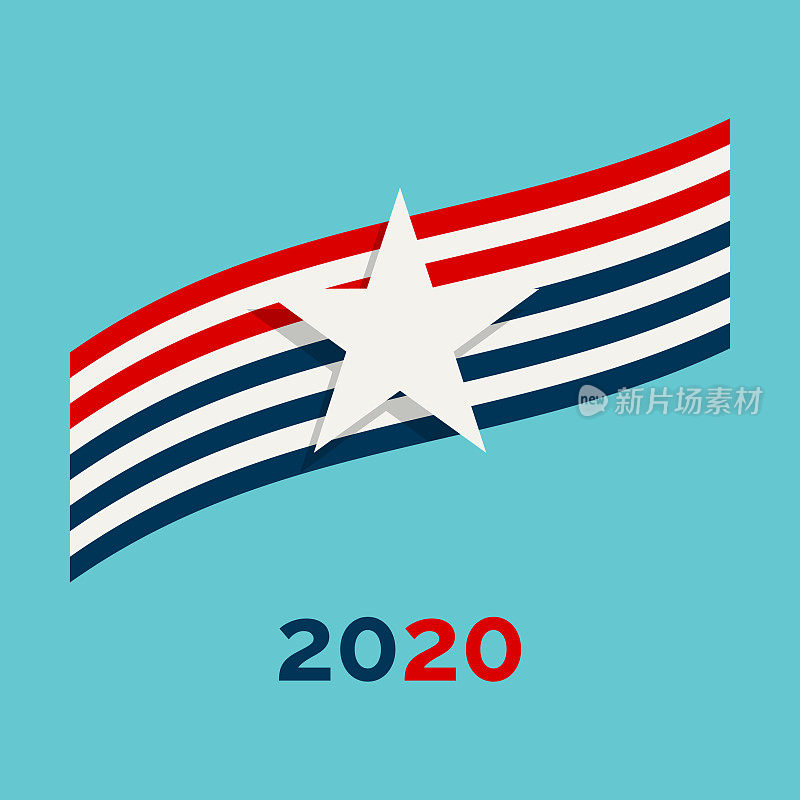 美国2020年大选设计元素