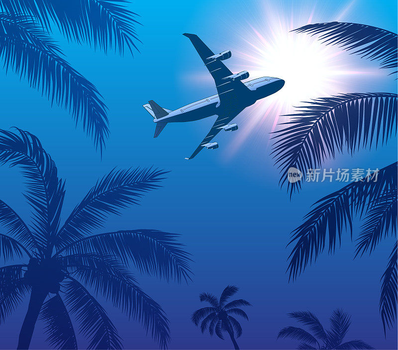 棕榈树和天空中的太阳上空的客机