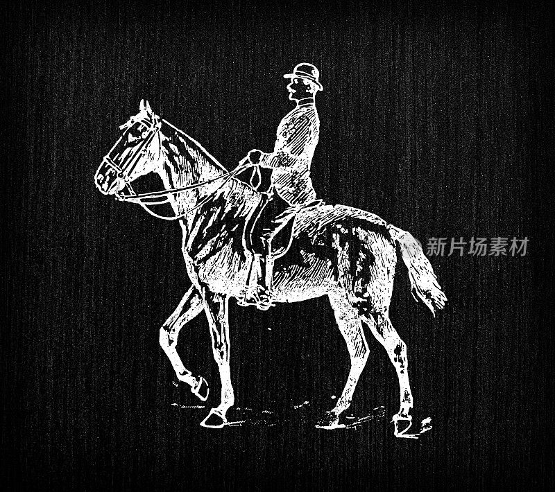 古色古香的法国版画插图:骑马