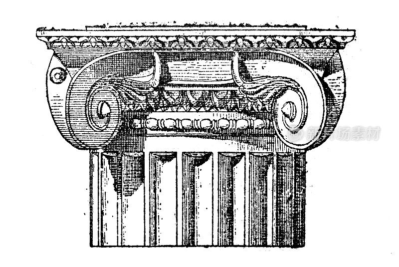 仿古插画:爱奥尼亚柱资本