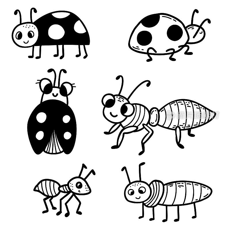收集可爱的昆虫-瓢虫和蚂蚁。线性手绘涂鸦。矢量插图。独立的设计元素，装饰，装饰和印刷。